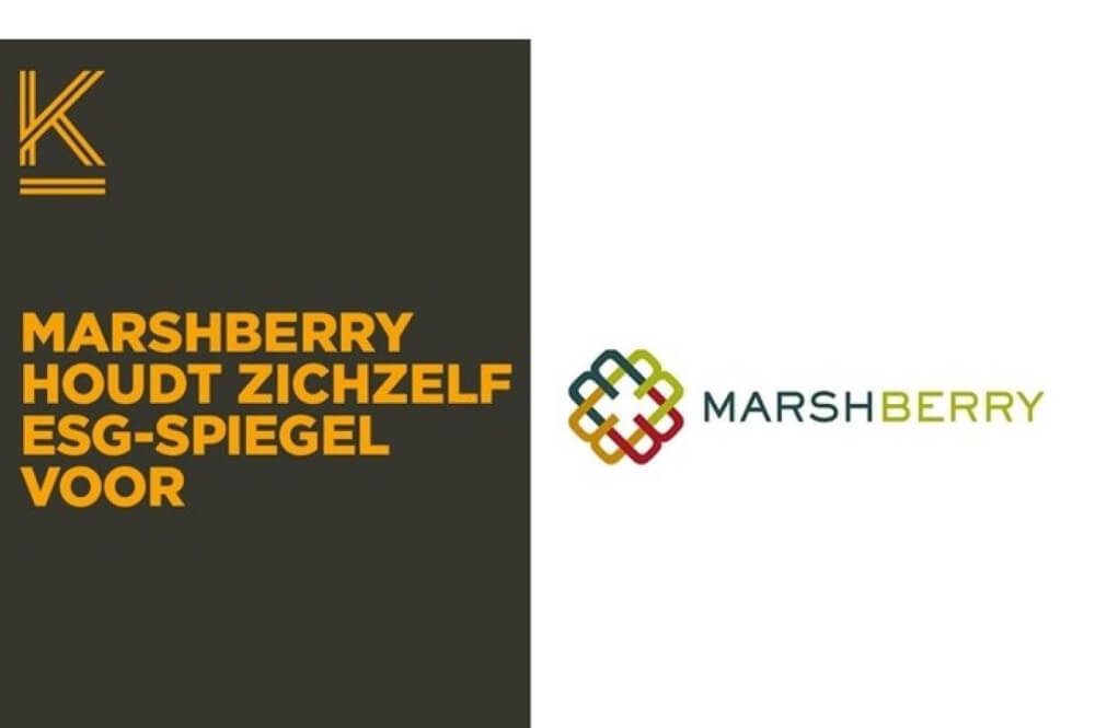 marshberry_1[1].jpeg